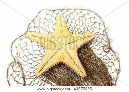 Karibik hvězdice (Oreaster reticulatus) na rybářské sítě.