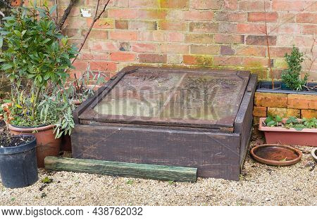 Wooden Cold Frame (coldframe) In An Traditional English Garden In Winter, Uk