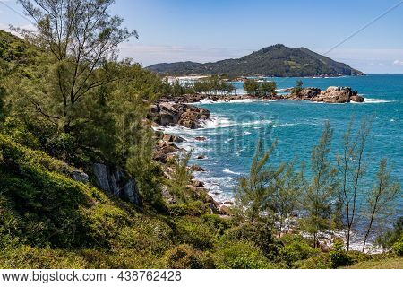 Trail With Rocks, Waves, Vegetation And Pine Trees
