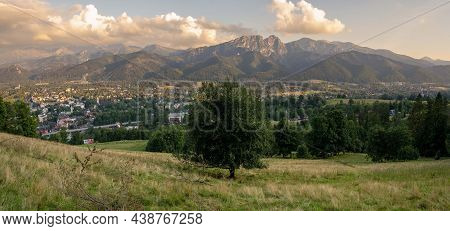 Wide Angle Panoramic Shot Of A Tree In A Field Meadow Against Giewont Mountain Located In Zakopane,