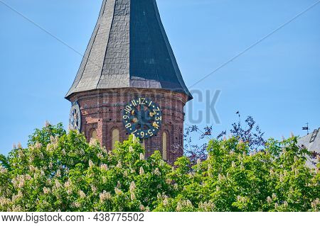Kaliningrad, Russia - May 31, 2021: Kaliningrad Cathedral On Kanta Island.
