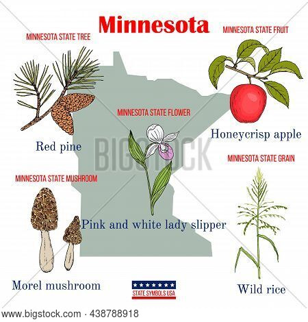 Minnesota. Set Of Usa Official State Symbols. Vector Hand Drawn Illustration