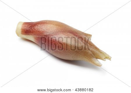 흰 배경에 전체 신선한 생강 버드