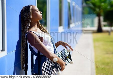 Black Woman With Coloured Braids. Typical African Hairstyle.