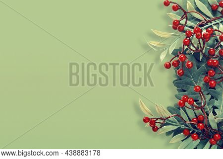Autumn Oak And Rowan Branches With Red Berries On Green Background.
Flat Lay, Top View, Copy Space C