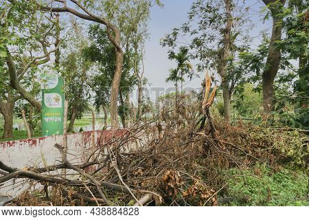 Howrah, West Bengal, India - 31st May 2020 : Super Cyclone Amphan Uprooted Tree Which Fell And Block