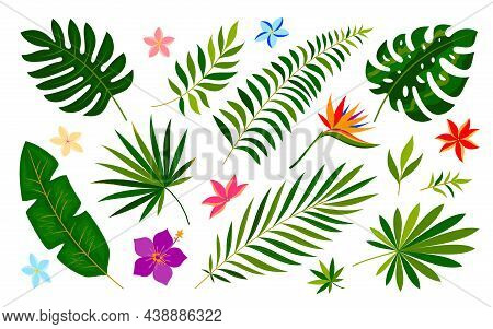 Tropical Leaf Flower Summer Print Green Flat Style. Pattern Decoration Holiday Wedding Party. Botani