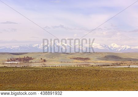 Chui Steppe In The Altai Mountains. Spring Plain With A Lake On The Background Of The North Chui Rid