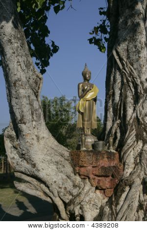 Budda in der Struktur