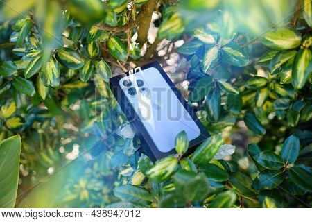 Paris, France - Oct 21, 2021: Eleagnus Japonicus Branch With New Cardboard Package Of Iphone 13 Pro 