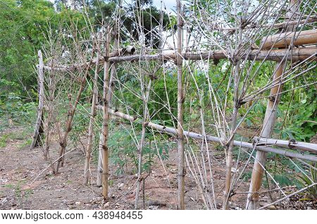 Bamboo Or Bamboo Fence Used For Protection And To Delimit The Space Of The Property's Land In A Tour