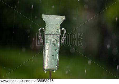 Close Up Of Plastic Rain Gauge On Rainstorm In Garden In Summertime