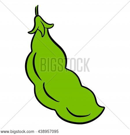 Fresh Beans. Green Young Green Beans. Ingredient For Dishes.