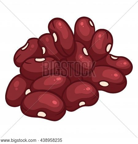 Fresh Beans. Red Grain Beans. Ingredient For Dishes.