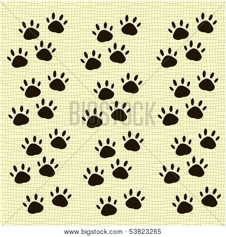 Trace cats.