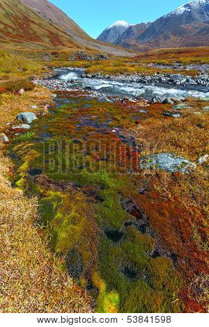 Moss Mountain River