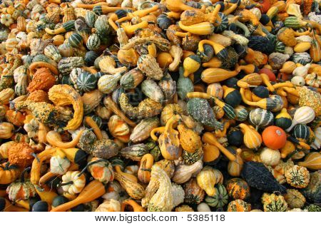 Blandade pumpor