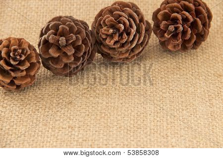 Pine Cones On Burlap