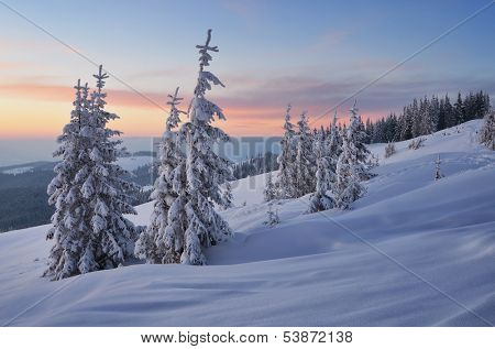 Evening Landscape with sunset sky in the winter in a mountain forest. Ukraine, Carpathian Mountains, the valley Kukul