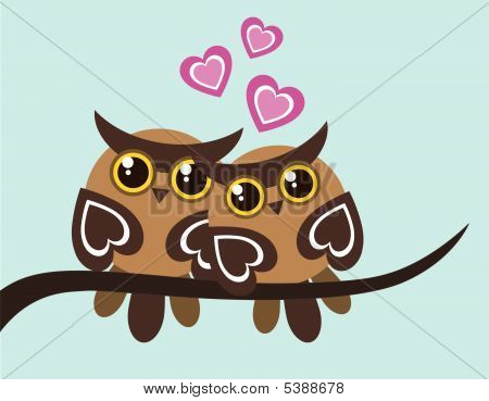 Owls in Love