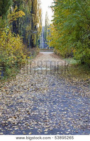 Park Alley