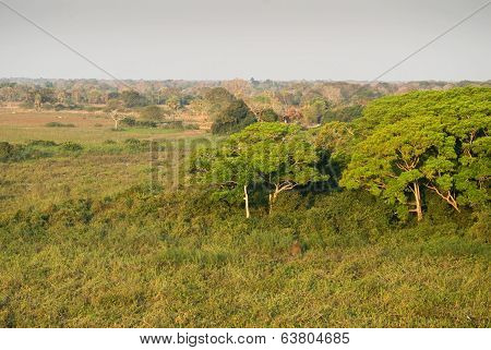 Pantanal Wetland, Brazil