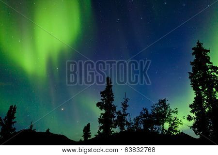 Northern Lights Aurora Borealis Swirls Yukon Taiga