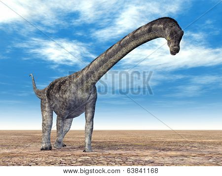 Dinosaur Puertasaurus