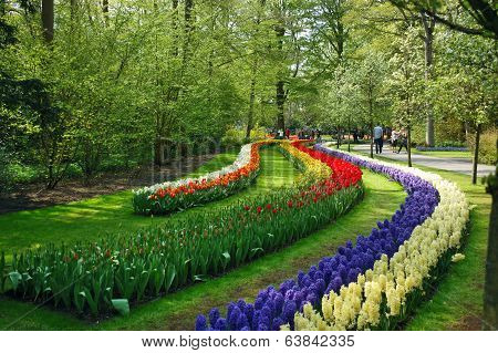 Spring flowerbed