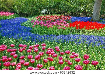 Bright spring