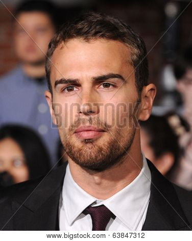 LOS ANGELES - MAR 18:  Theo James arrives to the 'Divergent' Los Angeles Premiere  on March 18, 2014 in Westwood, CA                