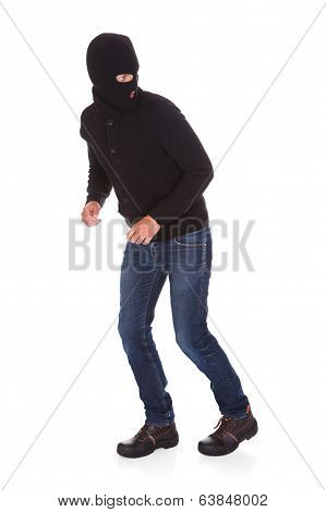 Portrait Of A Burglar