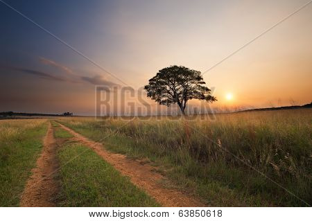 Lovely Grasland Sunset With Dirt Road Past Tree And Bright Colours Clouds