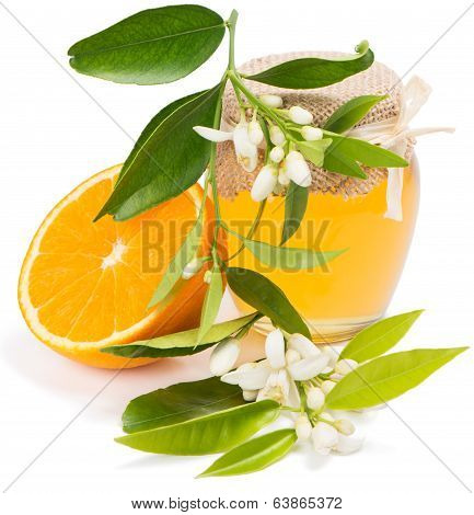 Honey, Fruit, Blossom Of Orange