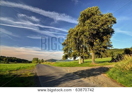 Cross under the lime trees