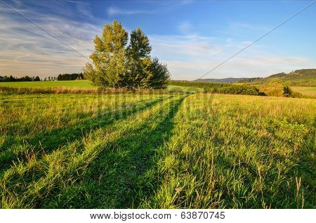 on pastures
