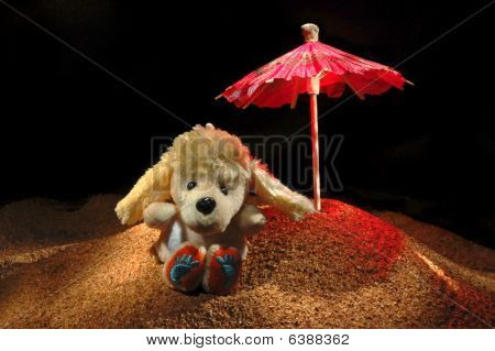 Pudel Toy