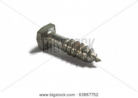 Square head bolt