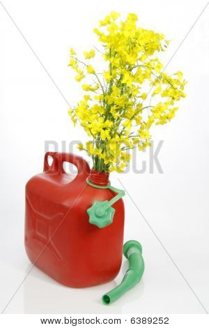 Biodiesel
