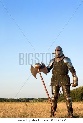 Medieval Knight
