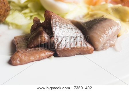 Close-up Fish