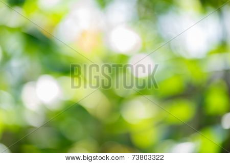 Background With Colorful Bokeh