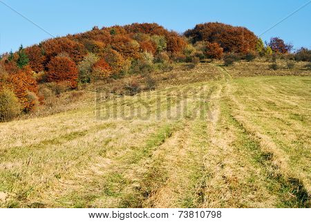 Autumnal View Of Strazov Mount In Strazovske Vrchy