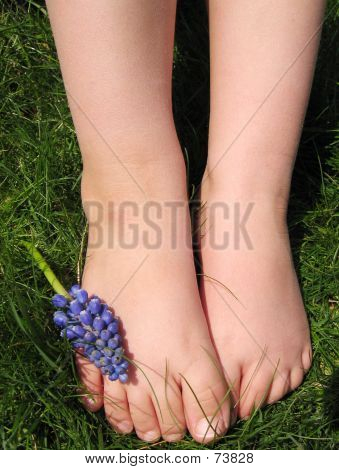 Piedi di primavera