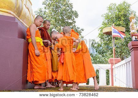 Monks Clad To Novices.