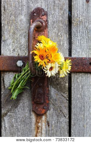 flowers on the door