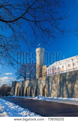 Herman Tower And Parliament Building. Tallinn, Estonia