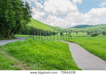 Thong Somboon ATV route, green field in Thailand
