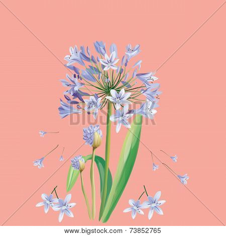 Light blue flower