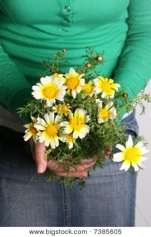 sfondo fiore